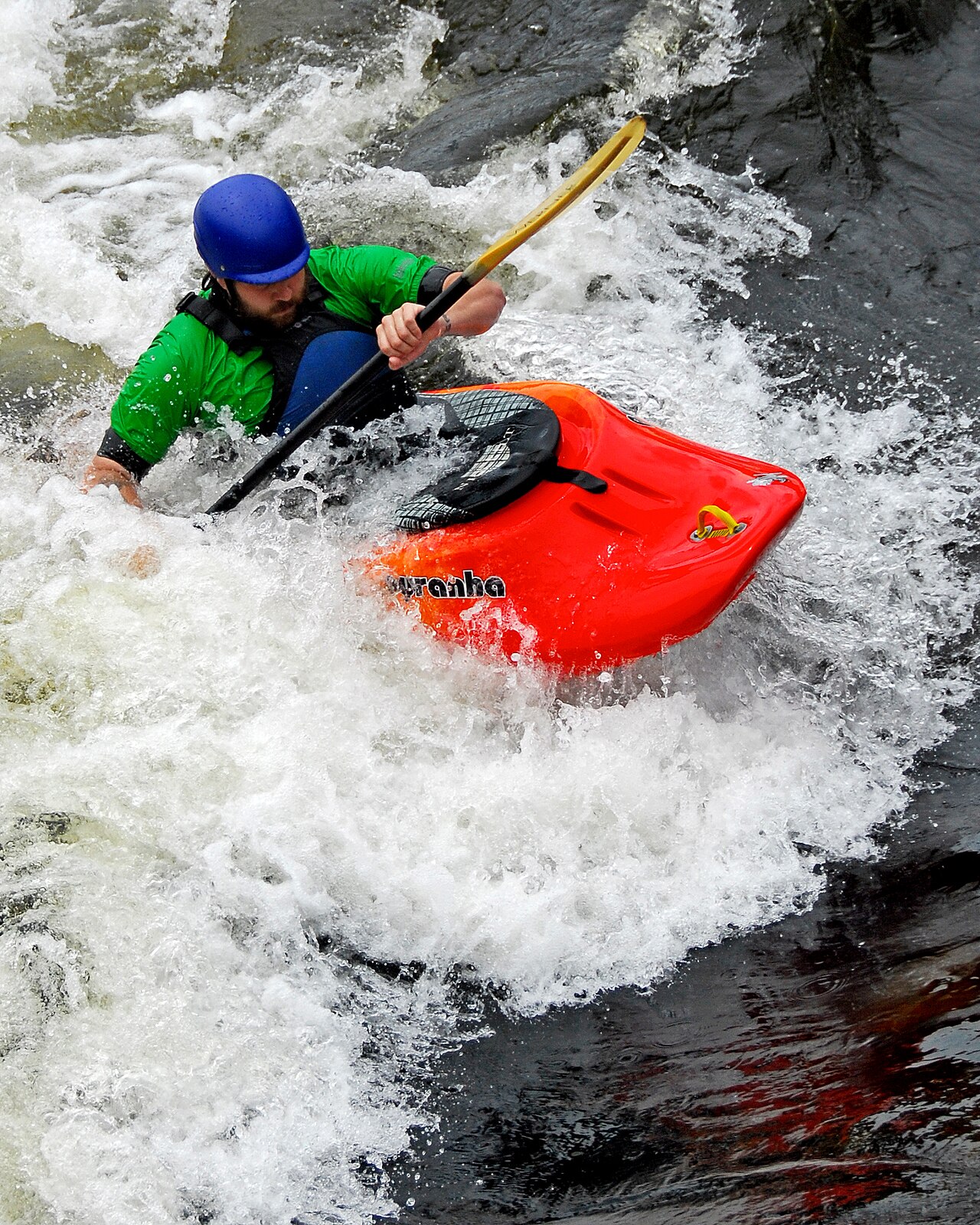 Kayak