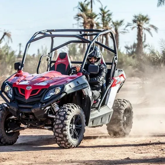 Buggy tout-terrain dans la palmeraie